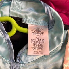 【正規品】アナのコスチュームドレスの画像