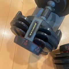 ボウフレックス 2セット　20ポンド(約9kg)可変式ダンベル 2個セットの画像