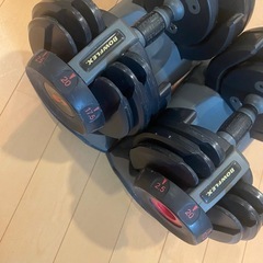 ボウフレックス 2セット　20ポンド(約9kg)可変式ダンベル 2個セットの画像
