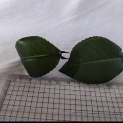 髪飾り　椿　和装の画像