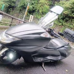 マグザムの画像