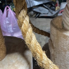 キャットランド　サリナさん専用
の画像