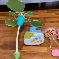 プーメリー
の画像