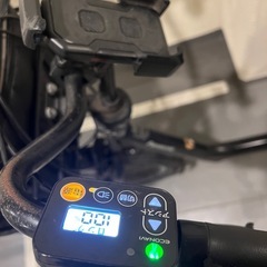パナソニック Panasonic ギュットミニ gyutto mini 子供乗せ電動アシスト自転車の画像