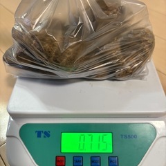 里芋の画像