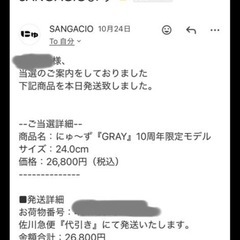 にゅ～ず『GRAY』10周年限定モデルの画像