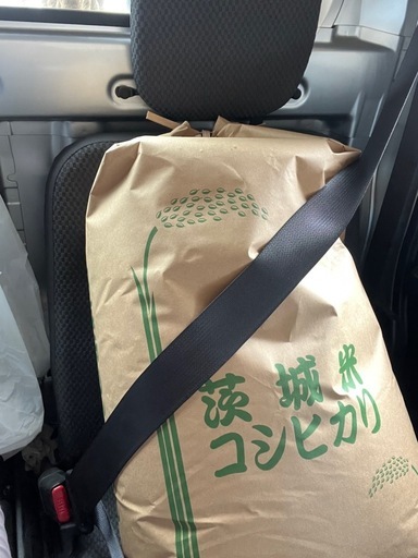 令和7年産　ミルキークイーン玄米30.5キロ