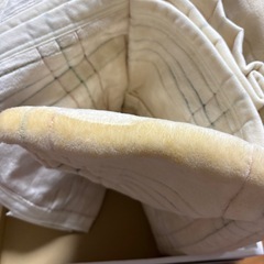 セリーヌ綿毛布の画像