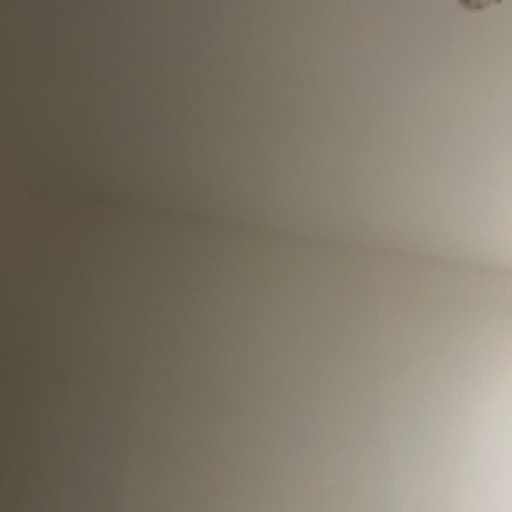 冷蔵庫と洗濯機