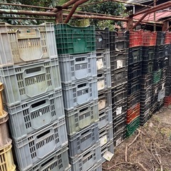 募集終了！！農業コンテナ　無料　引き取り限定の画像