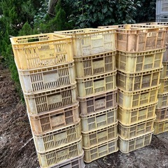 募集終了！！農業コンテナ　無料　引き取り限定の画像