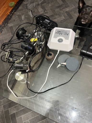 水槽断捨離品