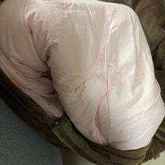 羽毛布団 カバー＆敷きパッドつき付きの画像