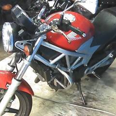 HONDA VTR250-2 赤 エンジン始動動画 自賠責保険で乗れます 半額配送キャンペーン 期間限定 現状渡し諸経費￥0- 横浜 P-Yardの画像