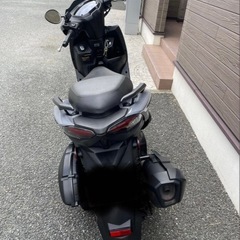 シグナスグリファス 大阪の画像