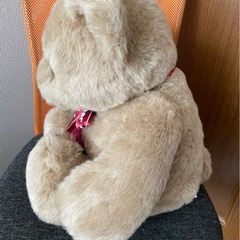 くまさんぬいぐるみの画像