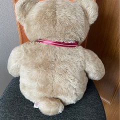 くまさんぬいぐるみの画像