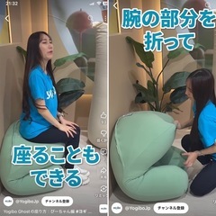 【早期取引希望】Yogibo Premium ヨギボープレミアムの画像