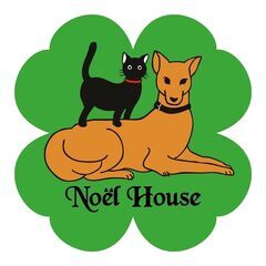 保護猫・保護犬　活動のお手伝い（ボランティア）募集！