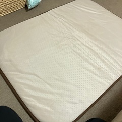 小さめカーペットの画像