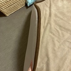 小さめカーペットの画像