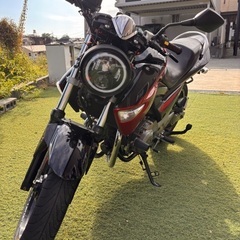 GSR250 の画像