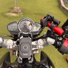 GSR250 の画像