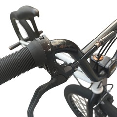 BMX 20インチ アーレスバイク アプラス フラットランドの画像