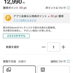 ニトリ　Nウォーム　極厚　らぐラグの画像