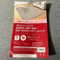 ニトリ　Nウォーム　極厚　らぐラグの画像
