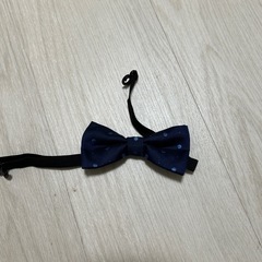 子ども用ネクタイの画像