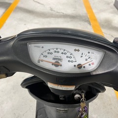 ホンダ ライブディオ AF35の画像