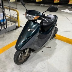 ホンダ ライブディオ AF35の画像