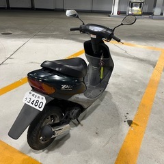 ホンダ ライブディオ AF35の画像