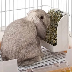うさぎチモシー牧草入れ♡飛び散り防止の画像