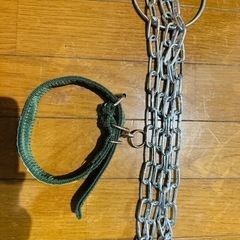 犬用リードの画像