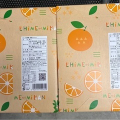 母恵夢　愛媛のみかんの画像