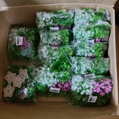 水草　フェイク水草　アクア石　まとめ売りの画像