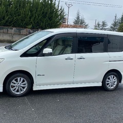 Serena hybrid の画像