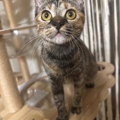 5ヶ月小さめ女の子