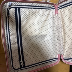 東急ハンズ　スーツケース　39リットルの画像