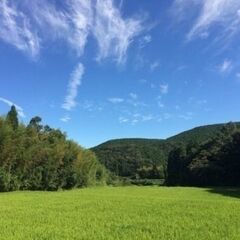 伊佐米 【農家直送】伊佐針持堂山うぐいす米(鹿児島伊佐米) 令和７年産 ヒノヒカリ 新米の画像