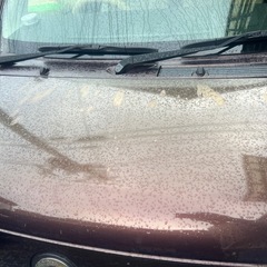 ダイハツミラココアの画像