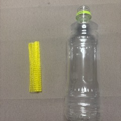 10匹300円　レッドルリーシュリンプ(ブルー、オレンジ、レッドの雑種)の画像