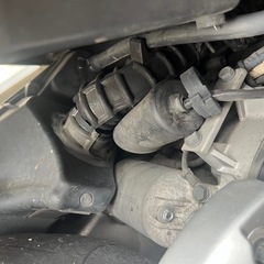 ※早いです。シグナスX2型台湾の画像