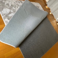 電気カーペットの画像