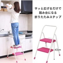 アイリスオーヤマ　折りたたみ　踏み台　脚立の画像