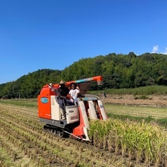 令和7年新米元気つくしの画像