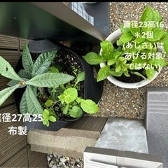 (受け渡し者決定)土とプランターあげますの画像