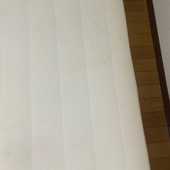 シンプルベットの画像